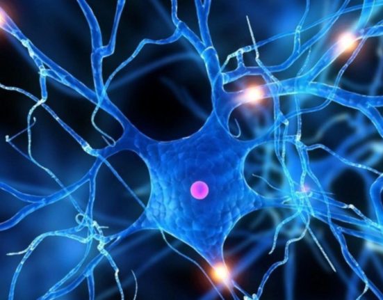 Descoperirea revolutionara a anului 2024 medicamentul care salveaza vieti