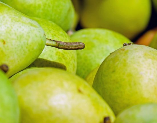 Fructe care intaresc oasele si previn boli