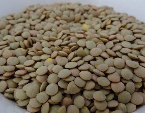 Leguma care inlocuieste carnea bogata in proteina si fier