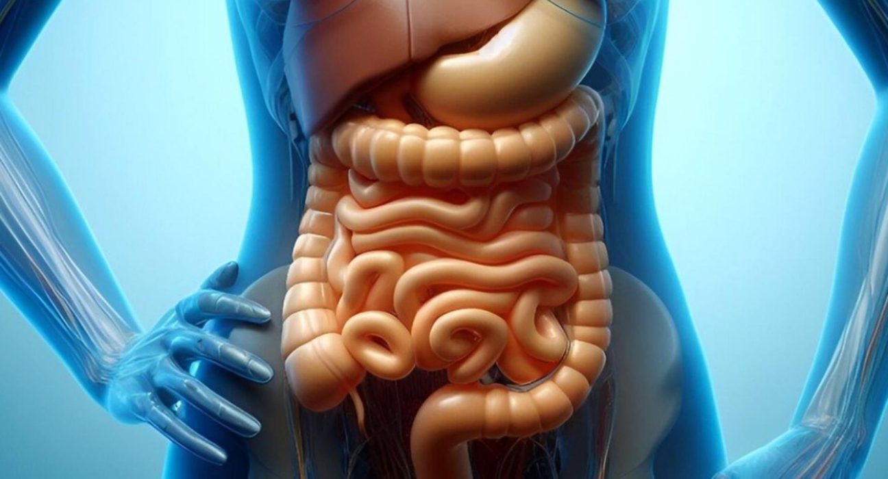 Cele mai bune bauturi pentru sanatatea intestinelor