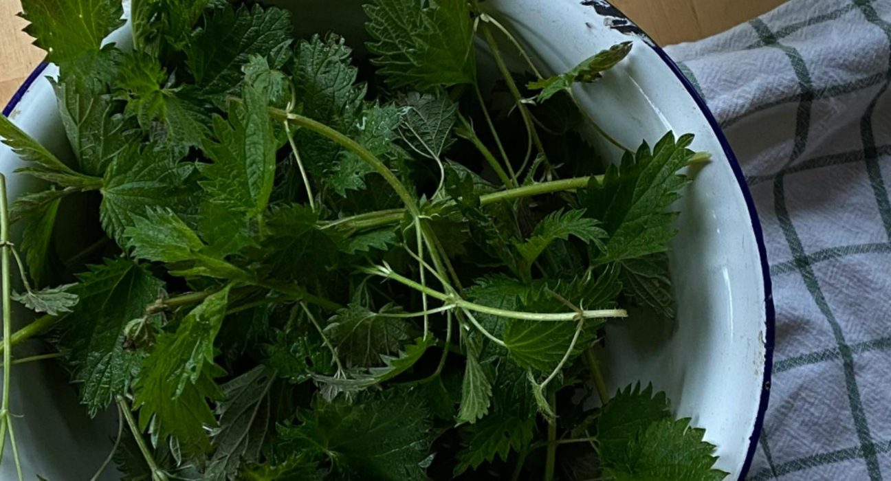 Crema de urzici Mincare sezoniera plina de vitamine