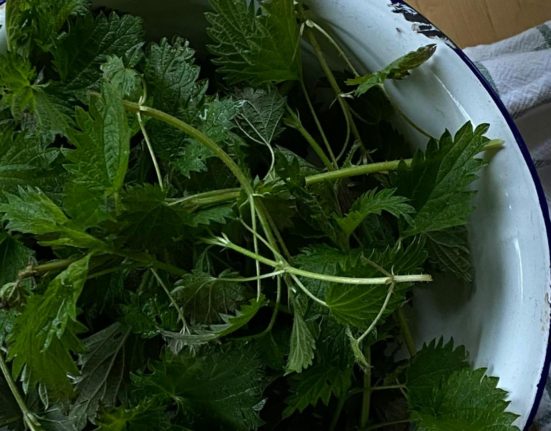 Crema de urzici Mincare sezoniera plina de vitamine