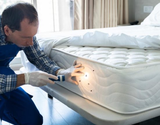 Spital din Bucuresti asaltat de plosnite Pe cine acuza medicii