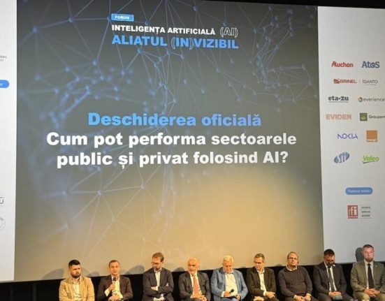AI ul intre administratie si antreprenoriat partener nu pericol