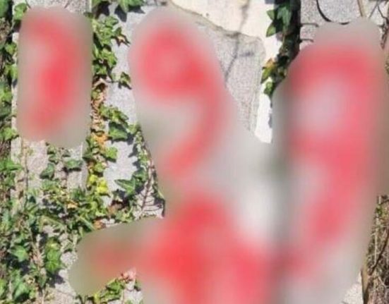 Adolescenti din Arad cercetati pentru profanarea cimitirului evreiesc