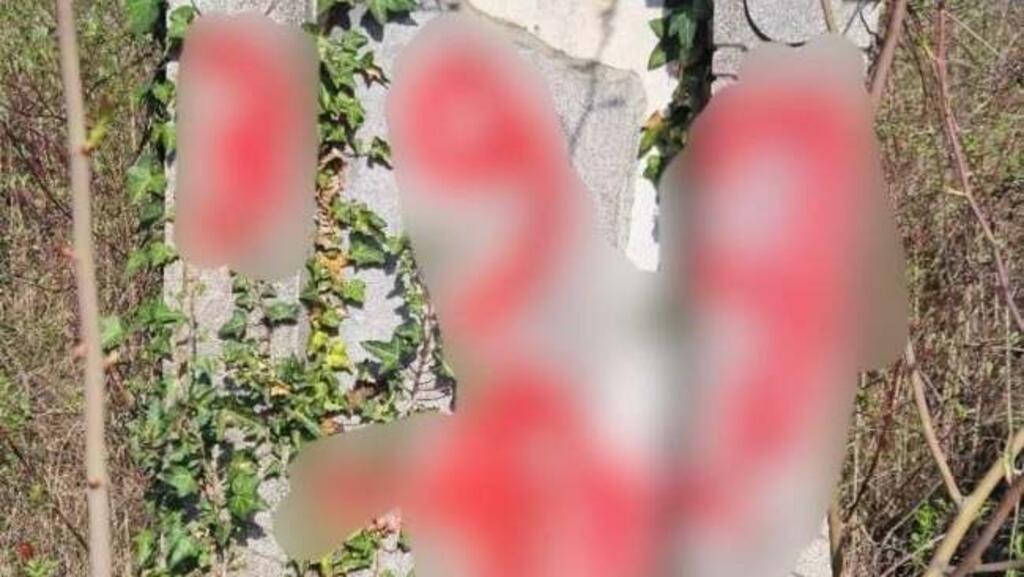 Adolescenti din Arad cercetati pentru profanarea cimitirului evreiesc