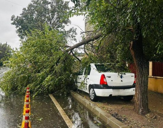 Sute de masinia variate in Bucuresti si Ilfov