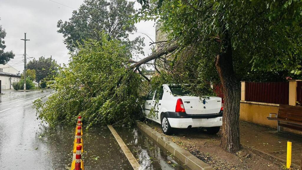Sute de masinia variate in Bucuresti si Ilfov